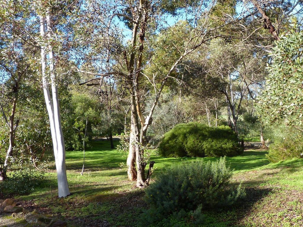 Villa Watervale Retreat Esterno foto